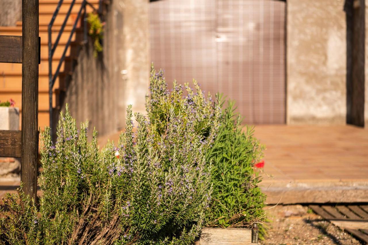 Casa Rural, Can Cirera Seriñá Esterno foto