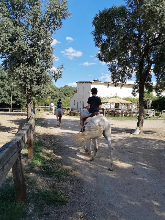 Casa Rural, Can Cirera Seriñá Esterno foto